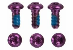 Vis De Disque Neatt Inox M5x10 Mm Violet (x6)
