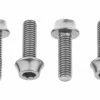 Lot De 4 Vis De Porte-Bidon Wolf Tooth Water Bottle Cage Bolts M5x15 Mm Argent