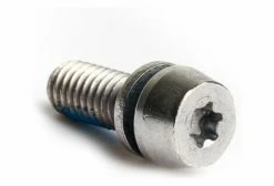 Vis D'étrier PM Magura Acier Torx 25 (x10)
