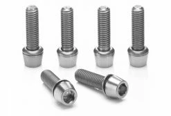 Jeu De Vis De Potence Ritchey Titanium Potence 4-Axis Silver (6 Vis)