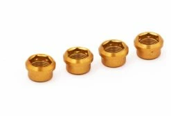 Vis Cheminées Rennen Regular Or (x4)